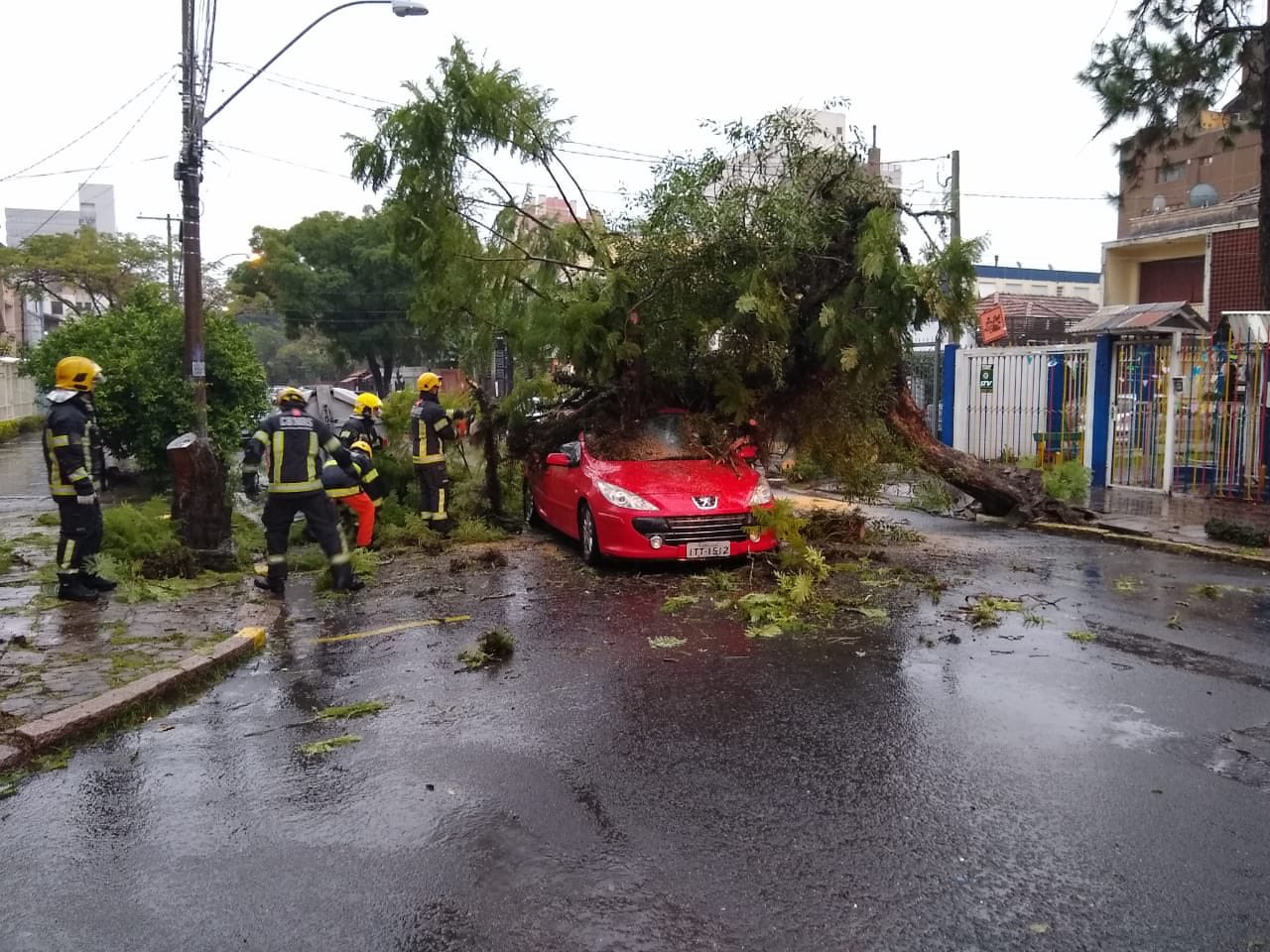 Queda de árvore Carro